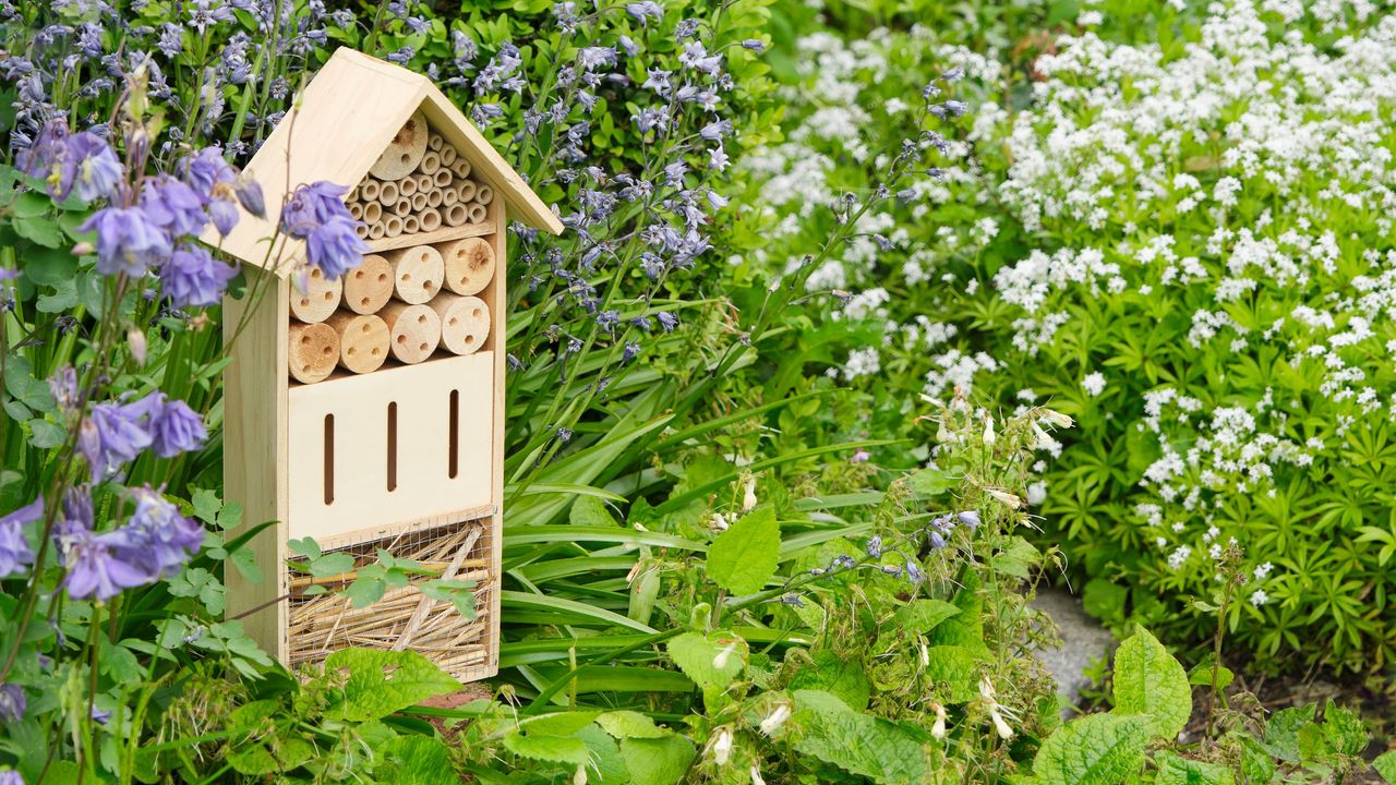 An insect hotel or bee hotel in a summer garden. An insect hotel is a manmade structure created to provide shelter for insects in a variety of shapes and sizes and materials.