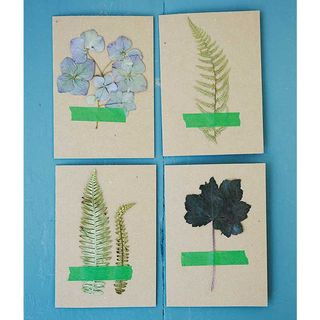 postcards with flower and leaves stick with green tape
