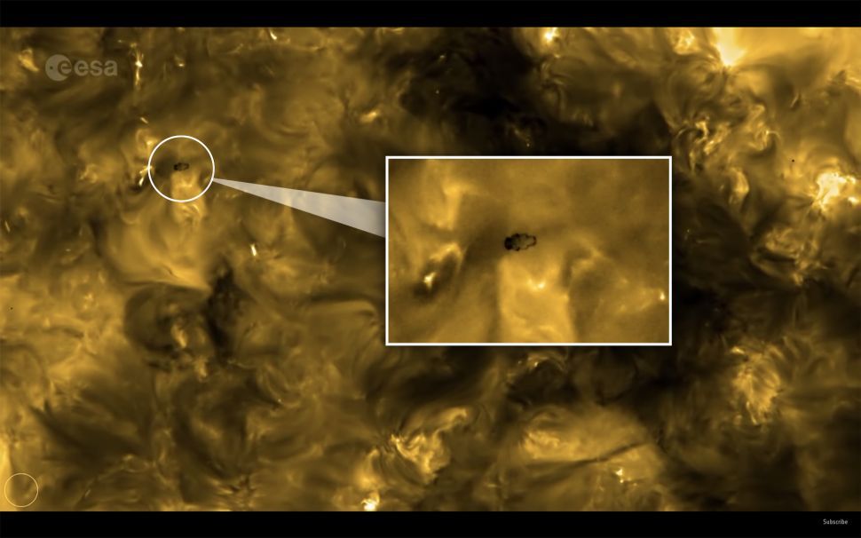 Tubby 'tardigrade' crawls across sun's surface in spectacular images