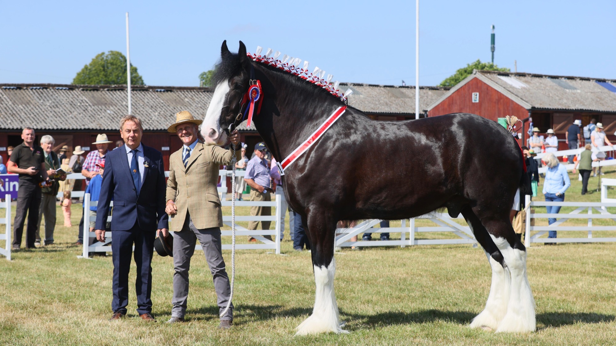 Black Shire gelding King's Hurricane stands for a photo after he is crowned champion at the Great Yorkshire Show