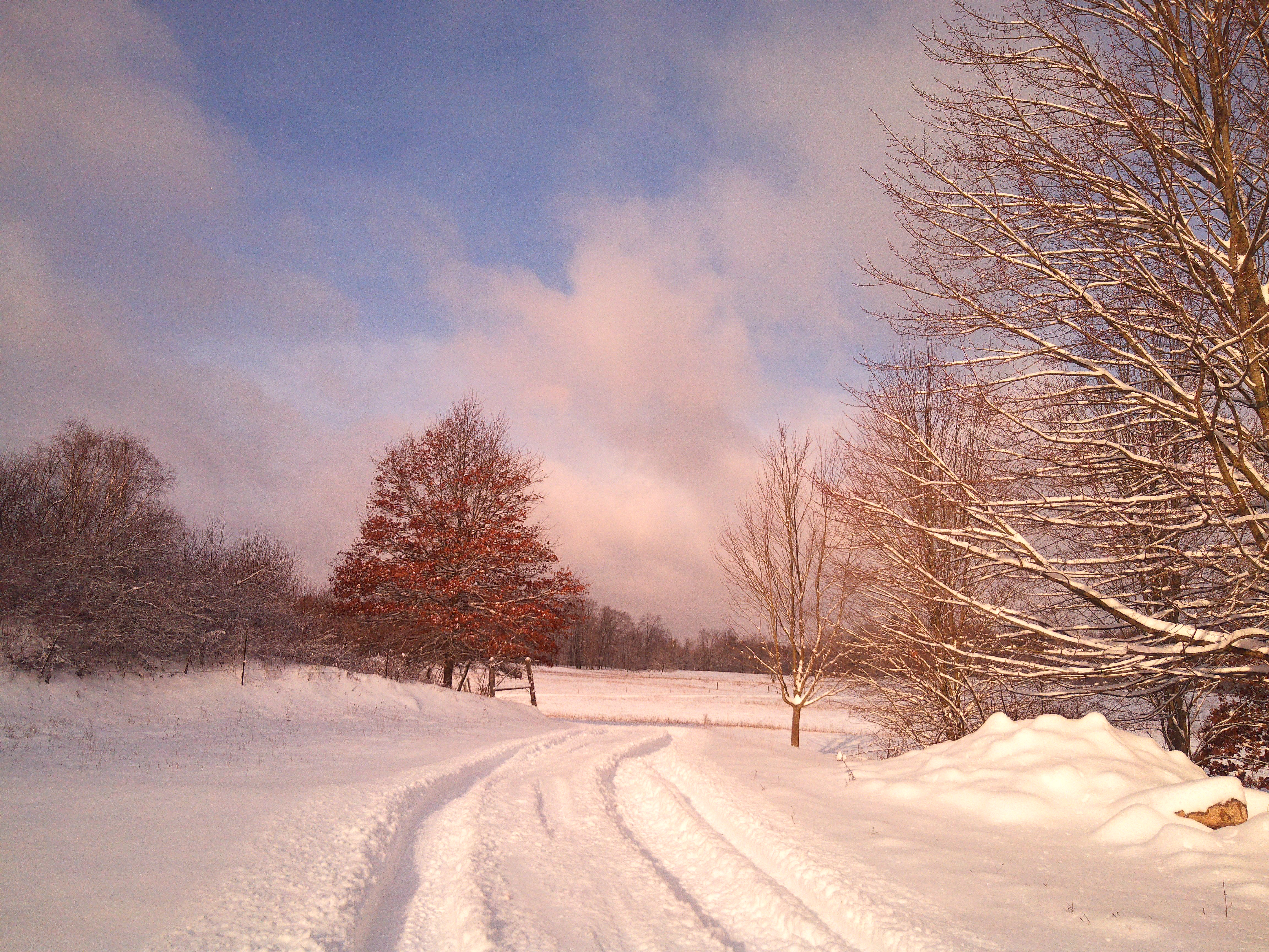 A sample image taken with the Camp Snap CS-Pro