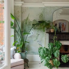 Room in Victorian house with painted wall mural, fieplace and large potted houseplants