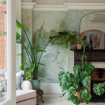 Room in Victorian house with painted wall mural, fieplace and large potted houseplants