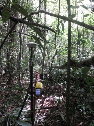 Researchers placed the high-precision GPS instrument (seen to the left of center) inside Brazil's Tapajós National Forest. This tool was used to link locations of field measurements to the lidar data from the air.