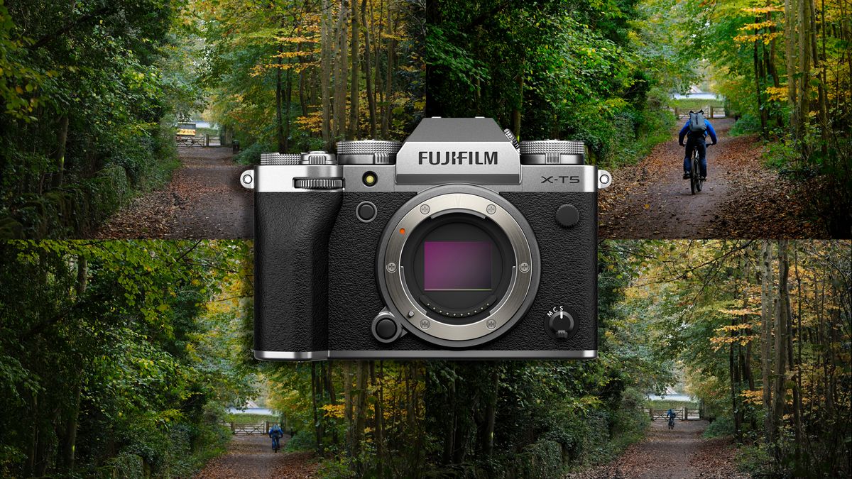 The Next Fujifilm Film Simulation Could Be a Surprise