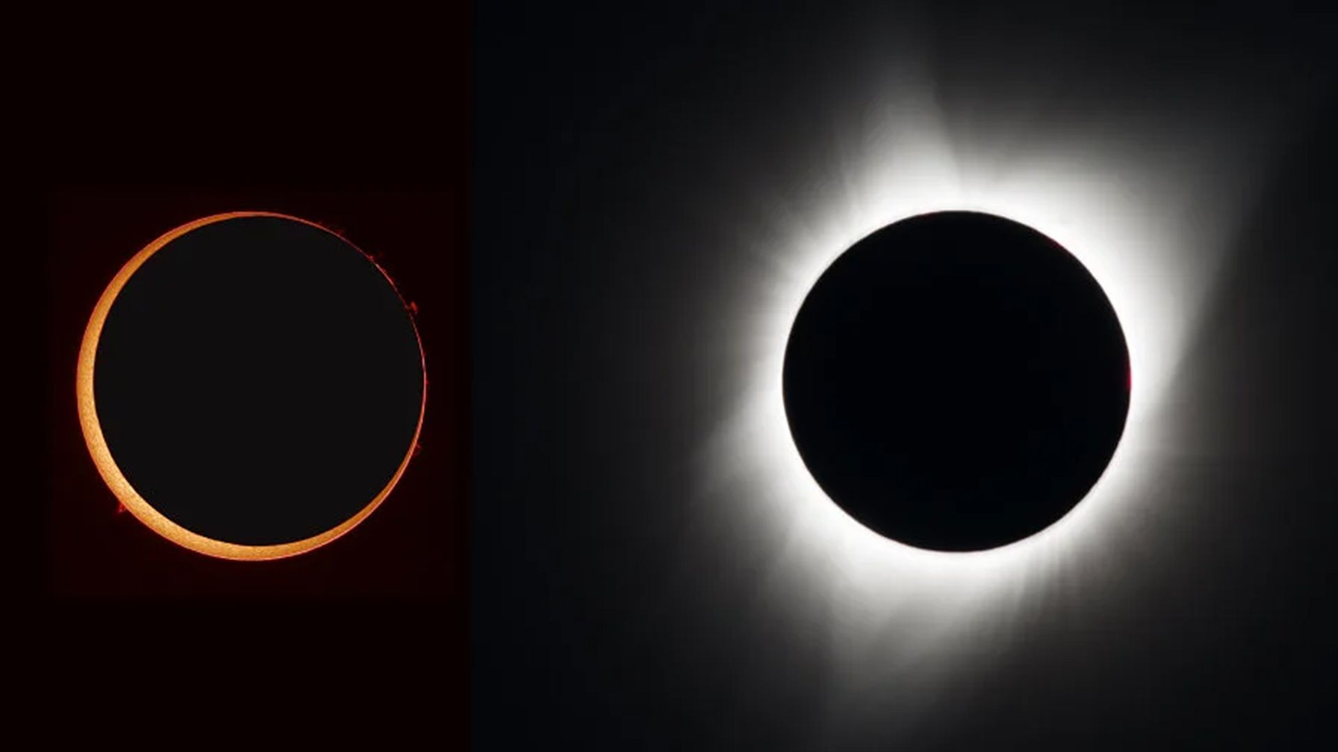 Terraria solar eclipse remix фото 92