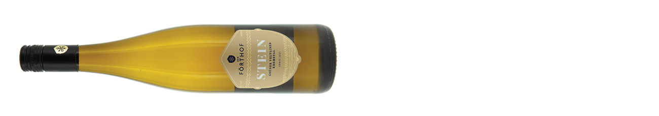 F%C3%B6rthof-Stein-Gr%C3%BCner-Veltliner-Kremstal-Austria-2021-.jpg