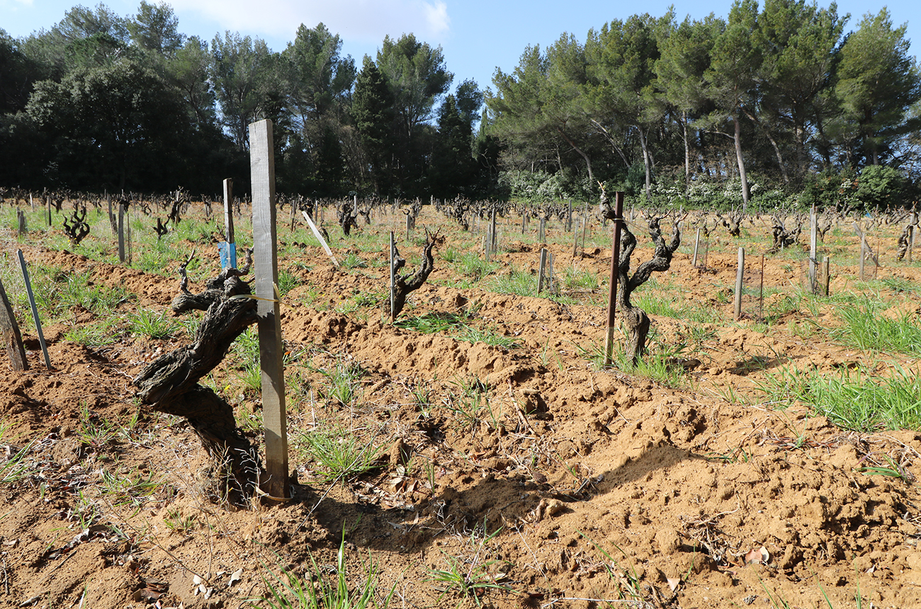 Domaine Font de Courtedune
