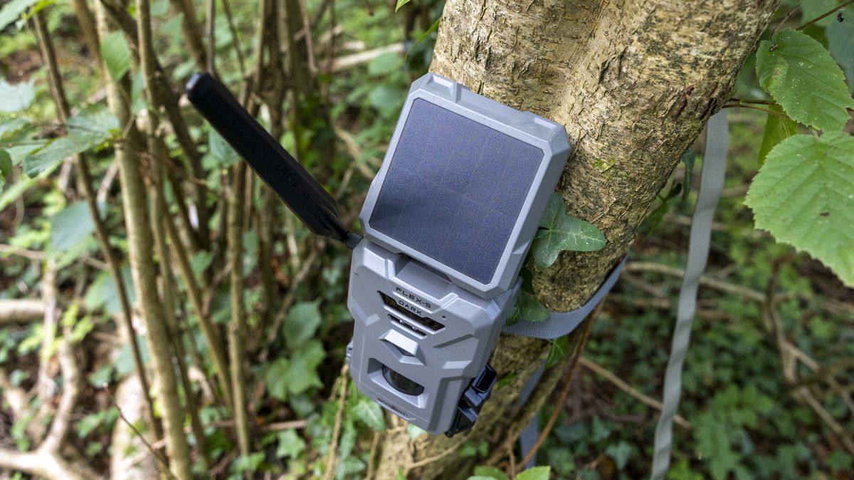 Top view of the Spypoint FLEX-S-Dark trail camera