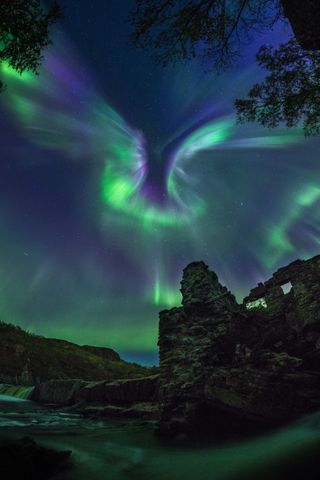 Aurora Bird astronomy photographers