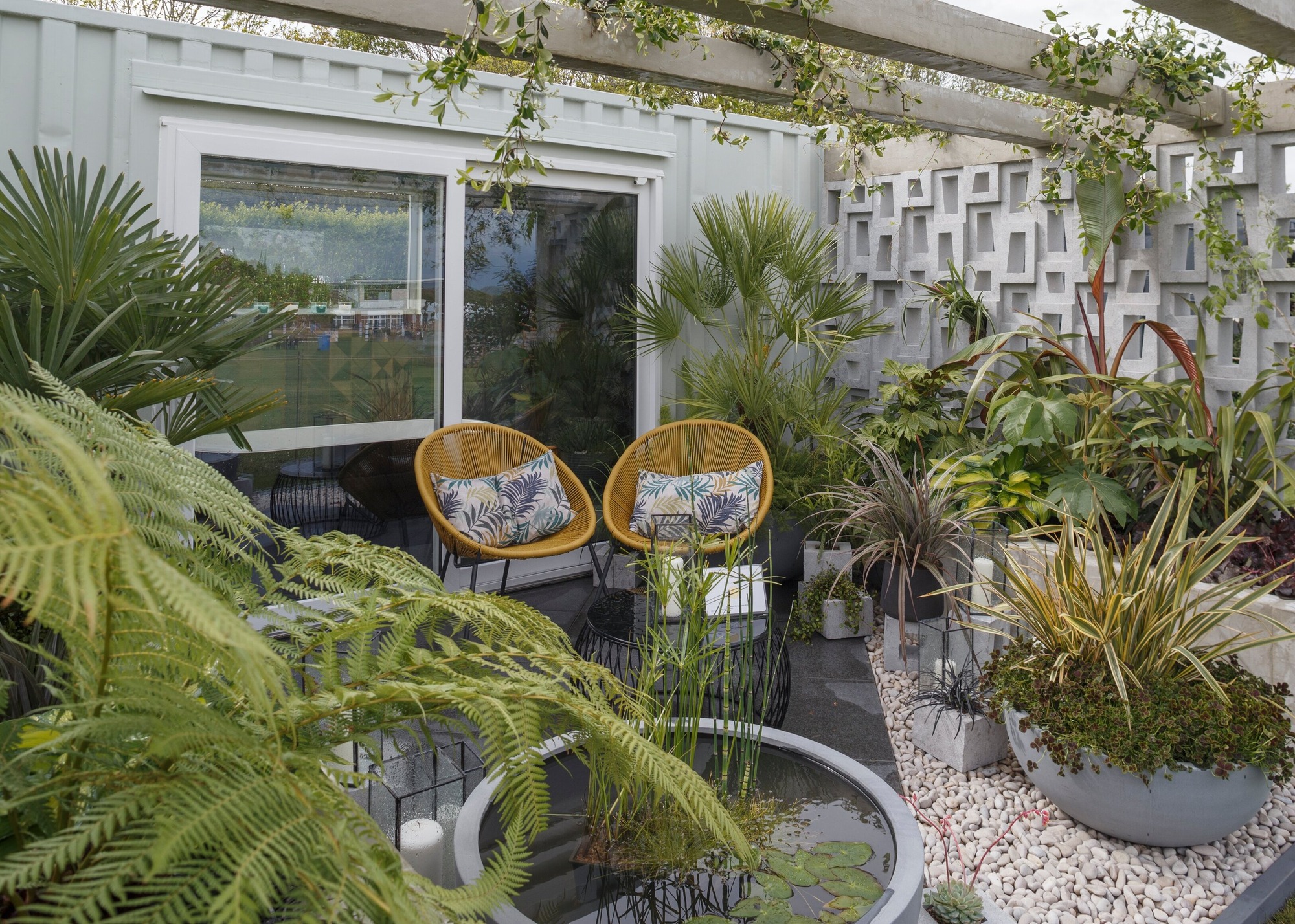 Apartment balcony with overhead pergola-type structure with climbing plants