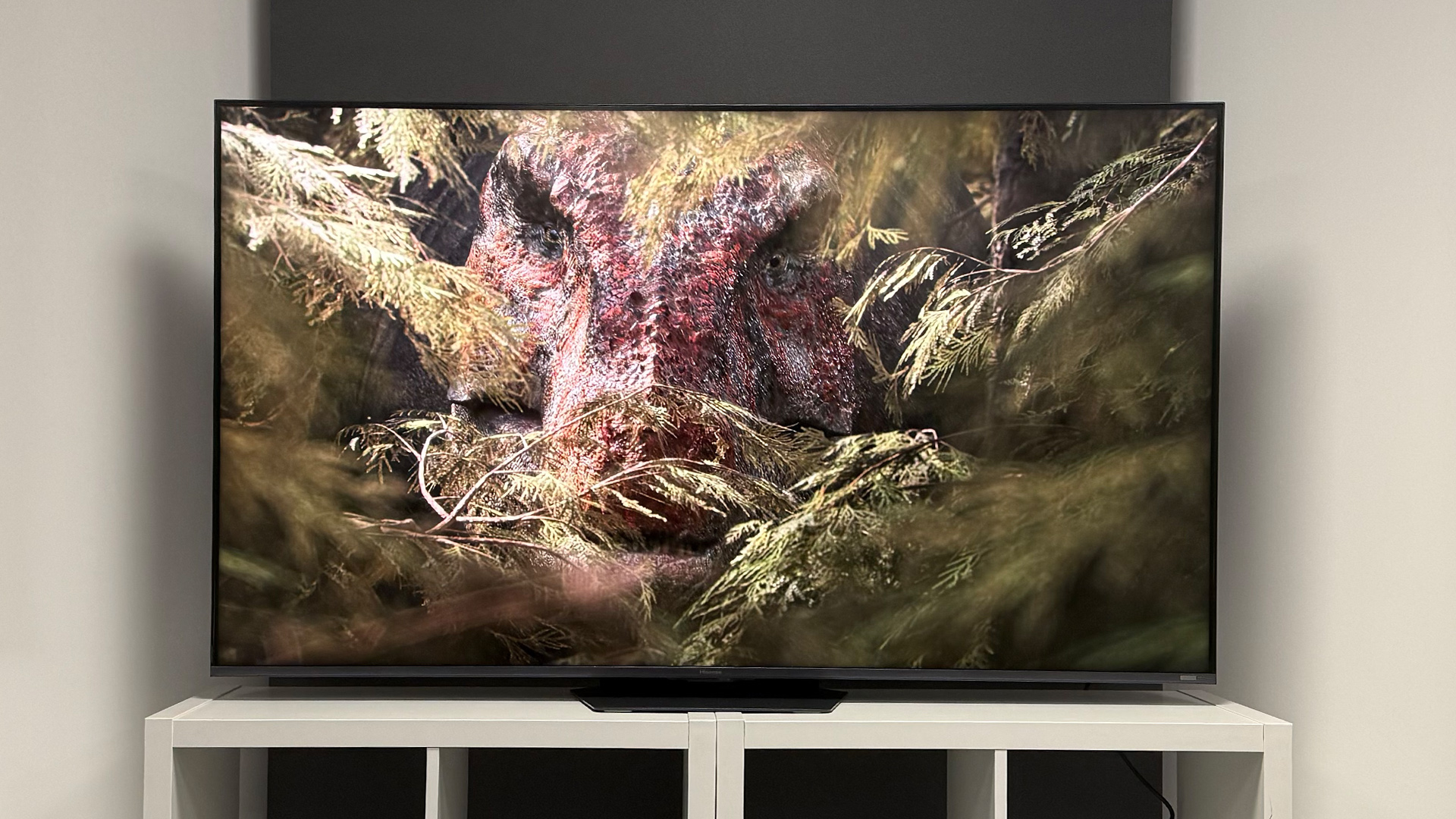 The 65-inch Hisense UR9 RGB Mini LED TV, photographed on a white, wooden unit. On the screen is a still from Netflix documentary, The Dinosaurs.