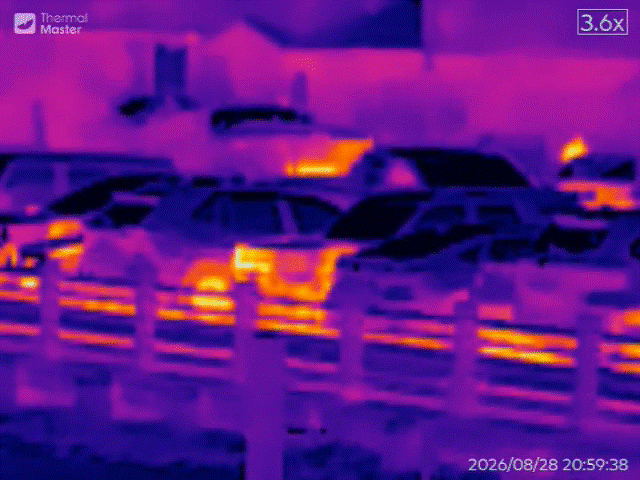 Thermal Master T2 Max sample.