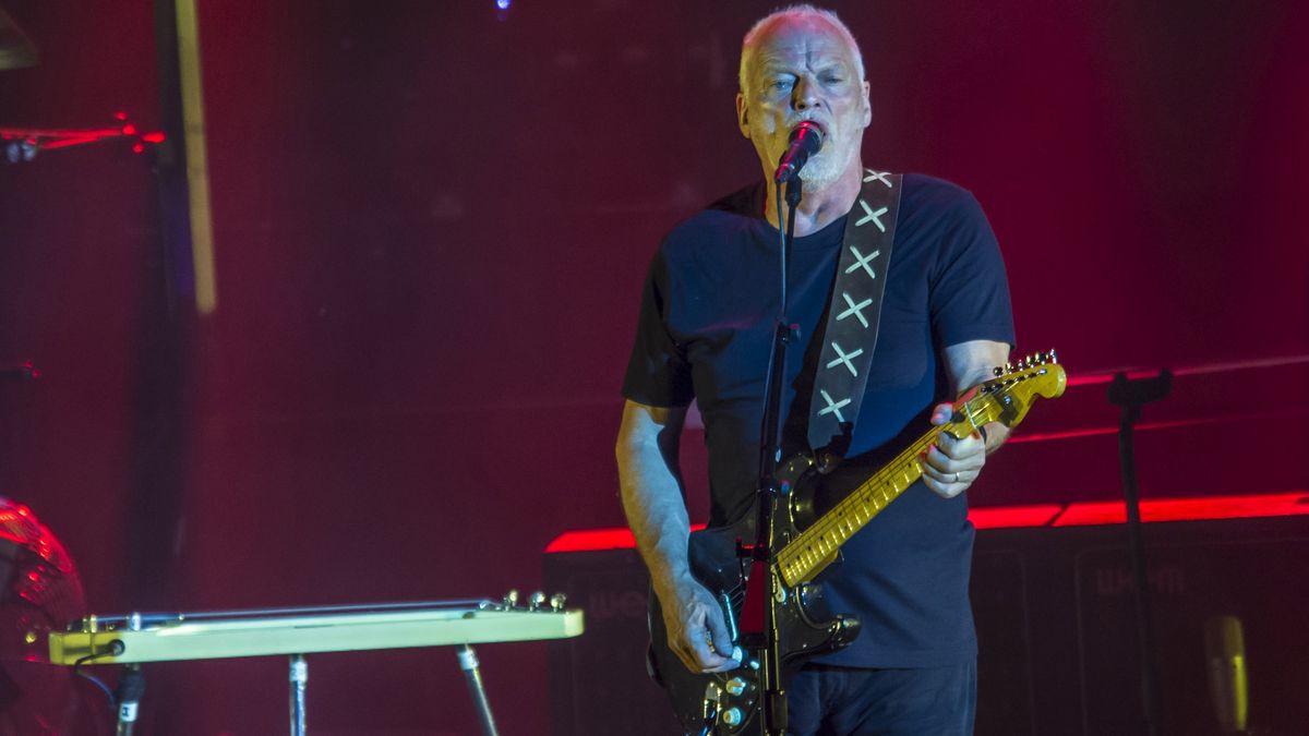 Hear David Gilmour play guest lead guitar on new Donovan song Rock Me