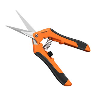 Orange gardening scissors