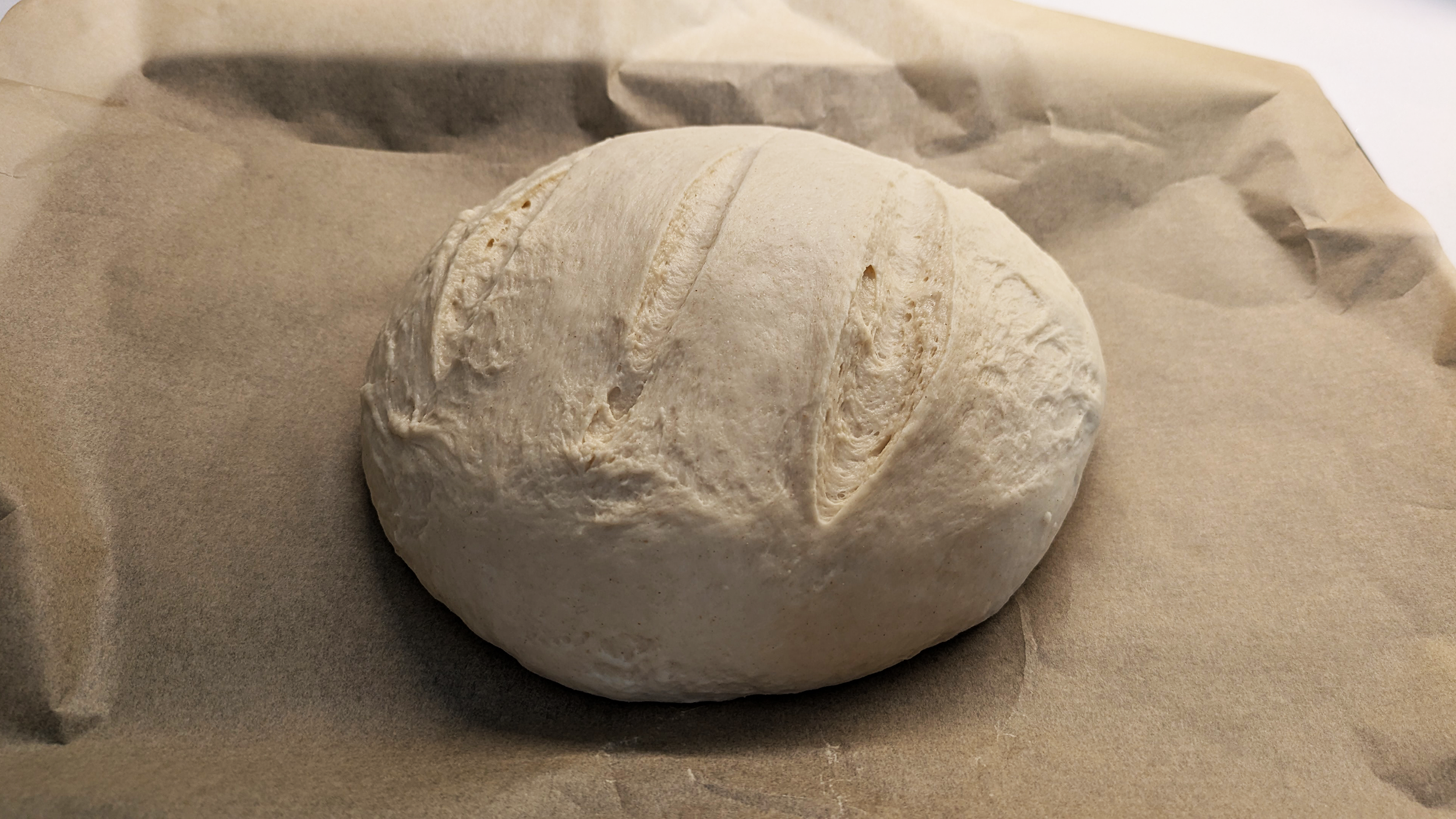 Ooni Halo Core stand mixer bread proving