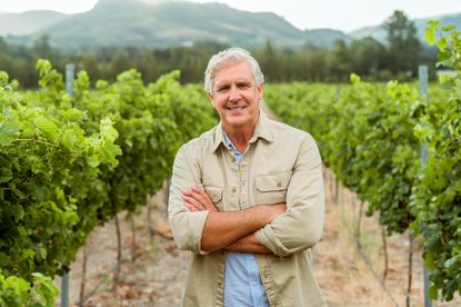 Wine farmer on vineyard field in nature, happy about sustainable lifestyle on agriculture farm and smile for sustainability in alcohol industry. Happy worker with arms crossed at job in ecology.