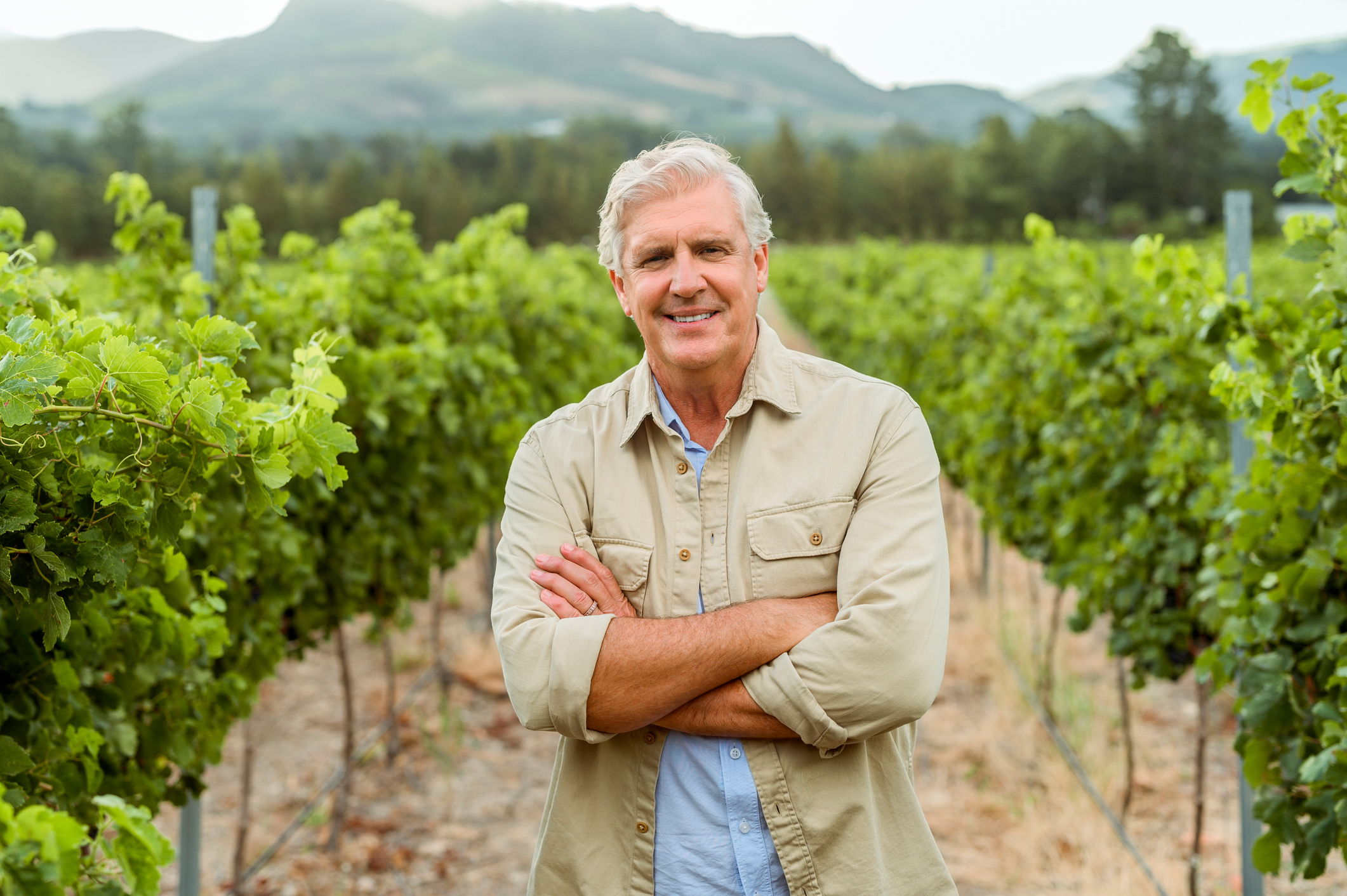 Wine farmer on vineyard field in nature, happy about sustainable lifestyle on agriculture farm and smile for sustainability in alcohol industry. Happy worker with arms crossed at job in ecology.