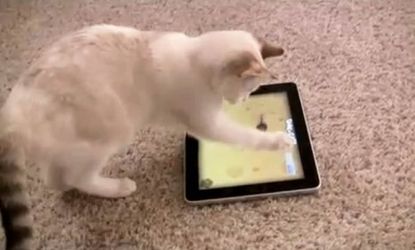If you ever wished you could play iPad games with your cat, now you can with Friskies' inter-species app.