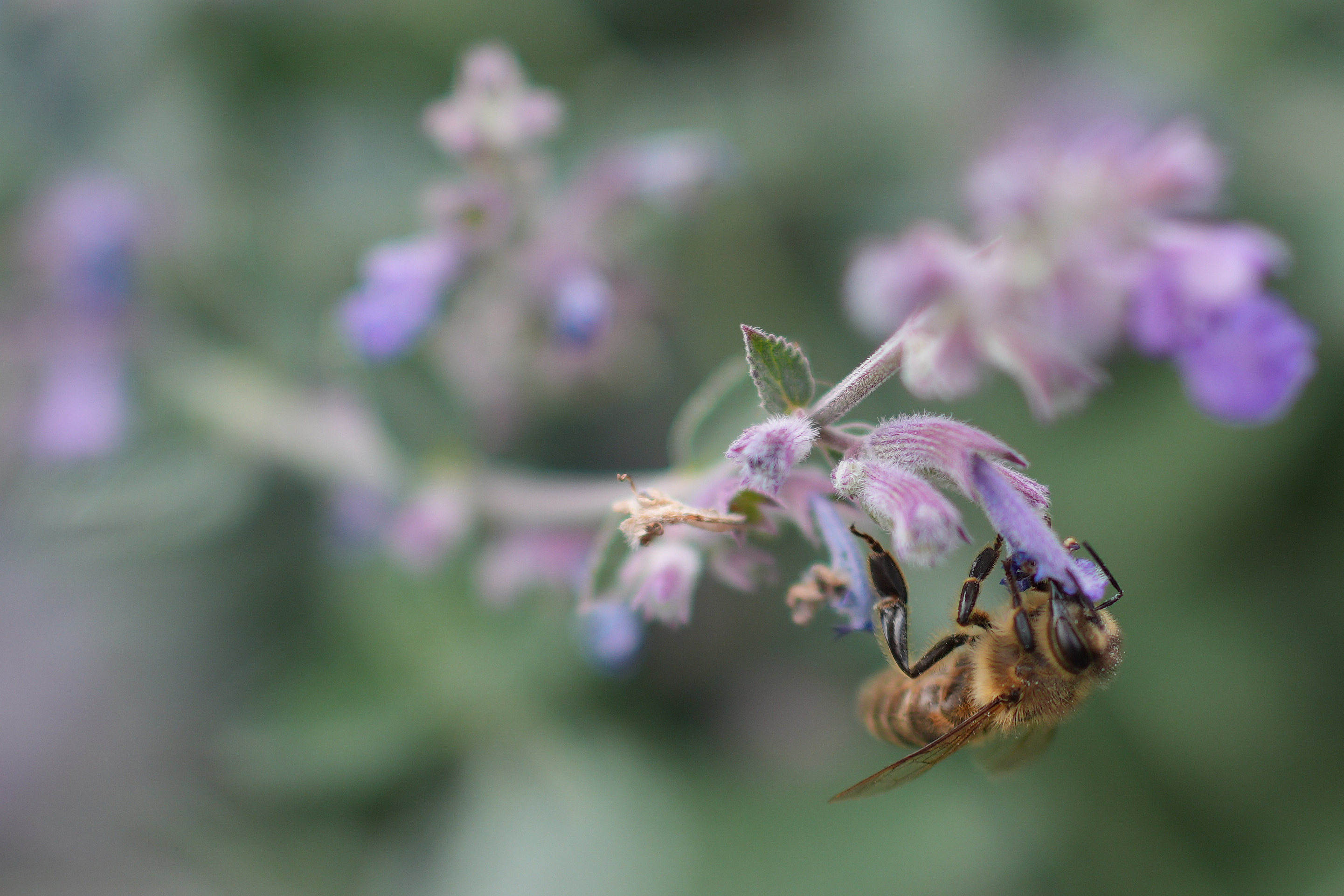 Sample image taken on the Sony RX1R III