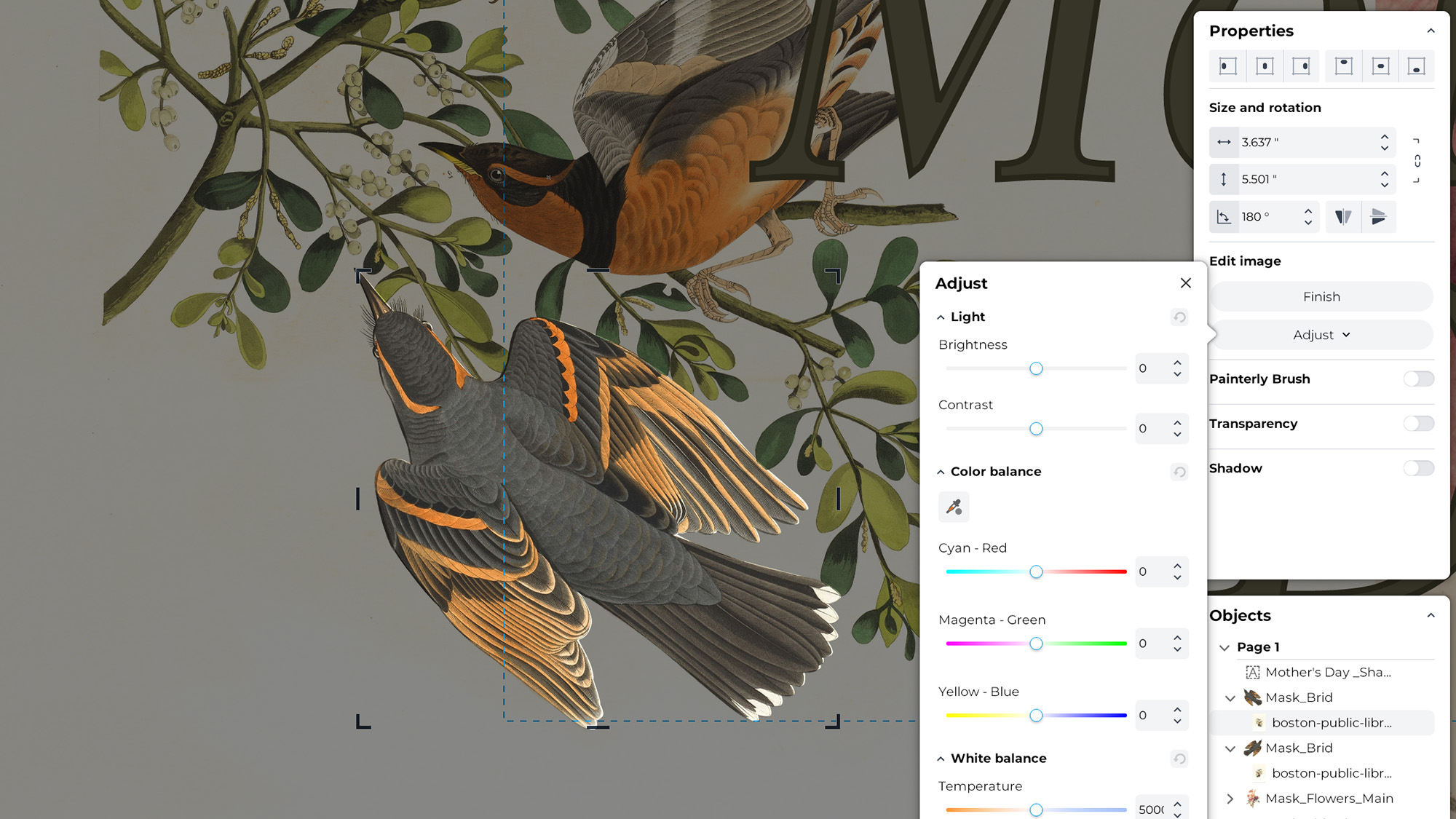 CorelDraw Go