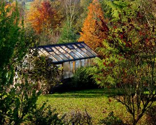 greenhouse in autumn