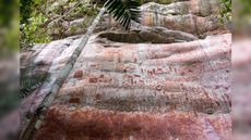 Thousands of images drawn during the last ice age were found in the Amazon Rainforest.