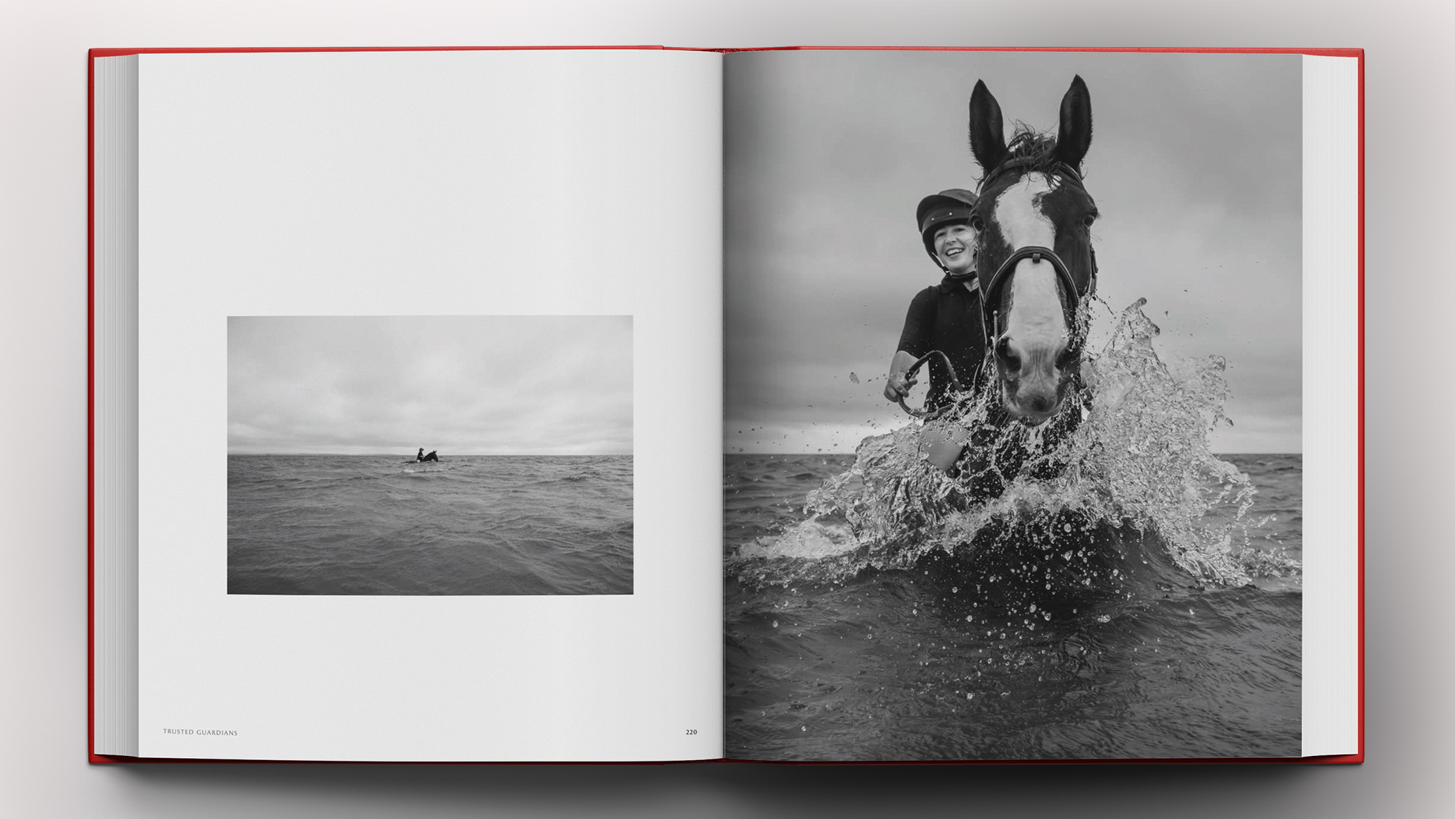 A cavalry soldier and their horse.