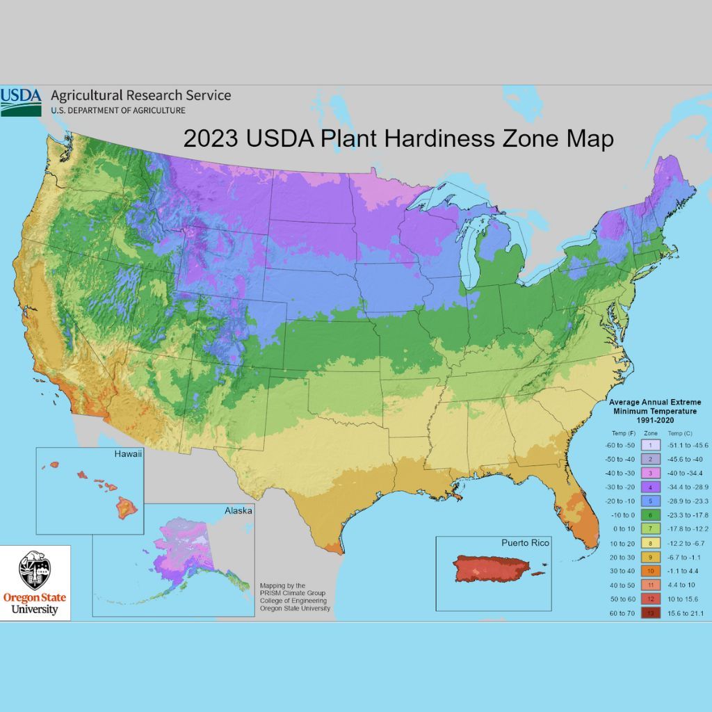 US Planting Zone Map – Growing Zones In The United States | Gardening ...