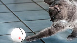 Kokuji Smart Interactive Ball indoor cat toy