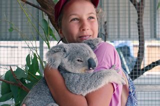Izzy Bee's Koala World