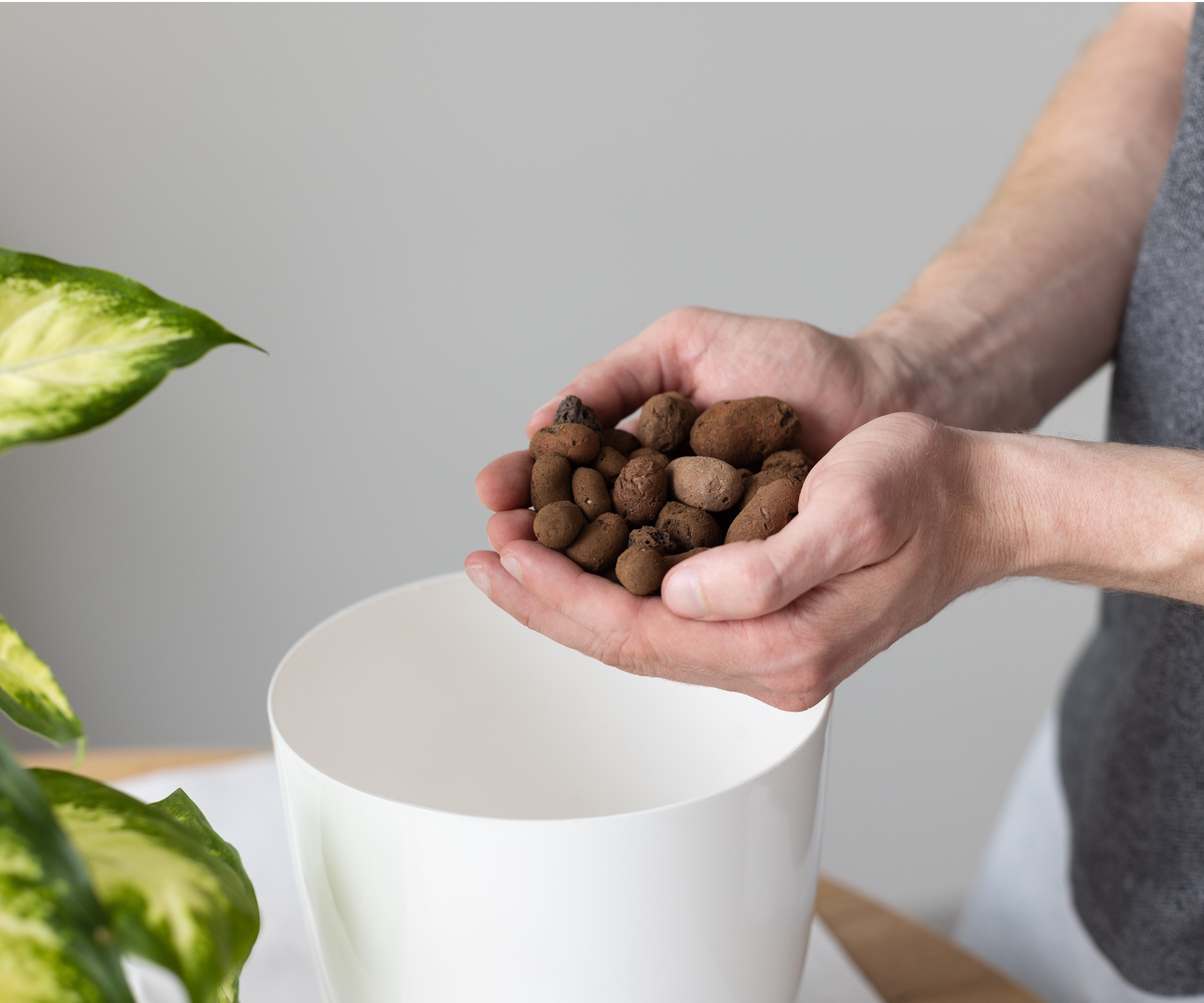 Putting LECA in plant pot