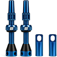 BWSHLF tubeless valves: $18.99