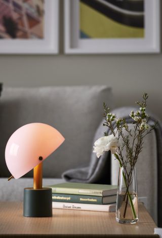 A living room table with a pink and green portable mushroom lamp, a vase of flowers and a set of books