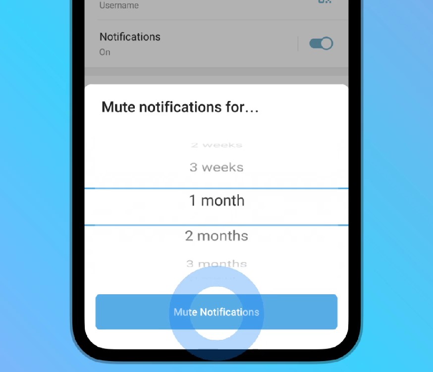 Telegram custom mute durations