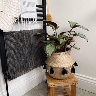 room with cloth stand and jute plant pot
