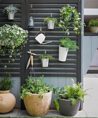grey fence panels with potted plants