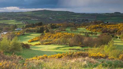 Scrabo Golf Club - 13th hole