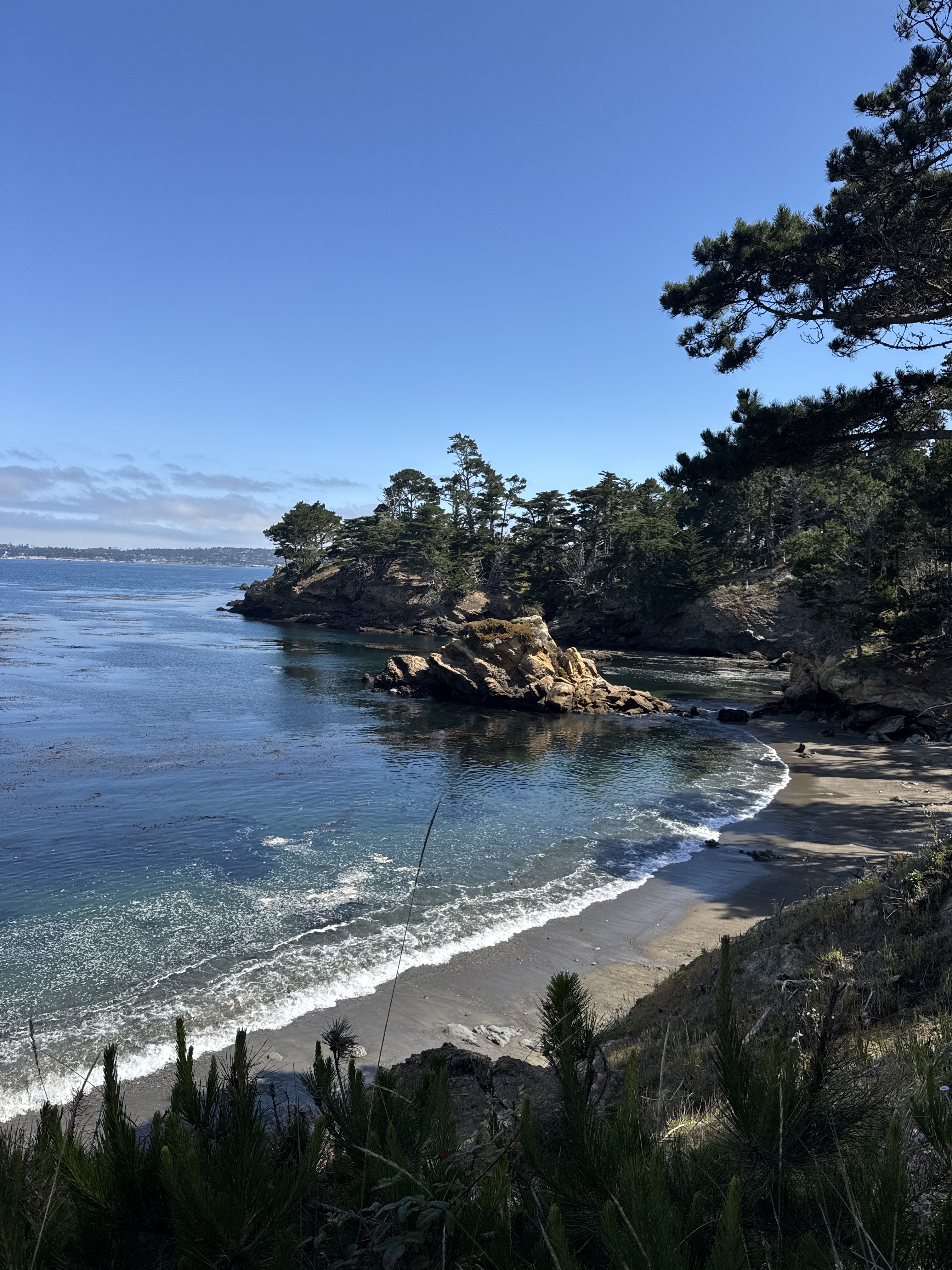 Point Lobos State Natural Reserve