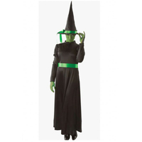 Wicked Green West Witch Costume: View at fancydress.com
