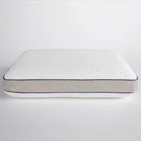 View the DreamCloud Best Rest from $99 at DreamCloud