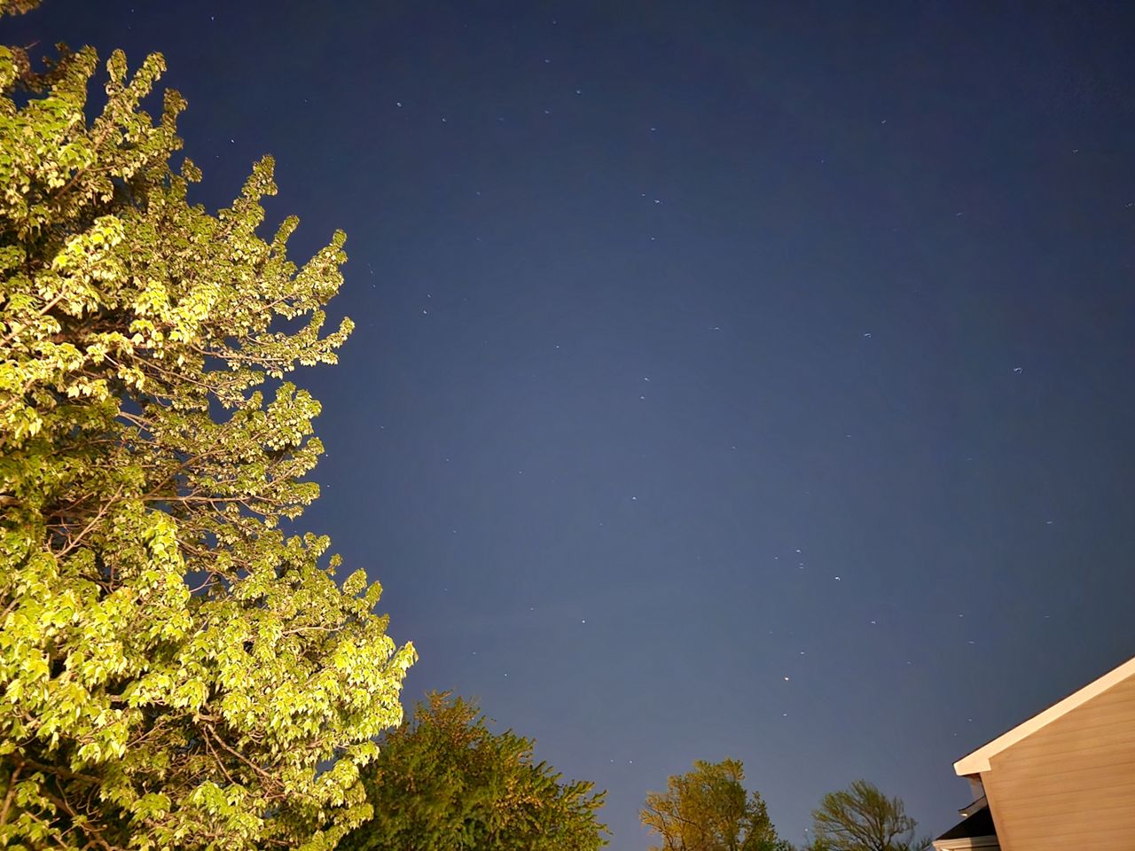 Samsung Galaxy S23 Ultra low light sample.