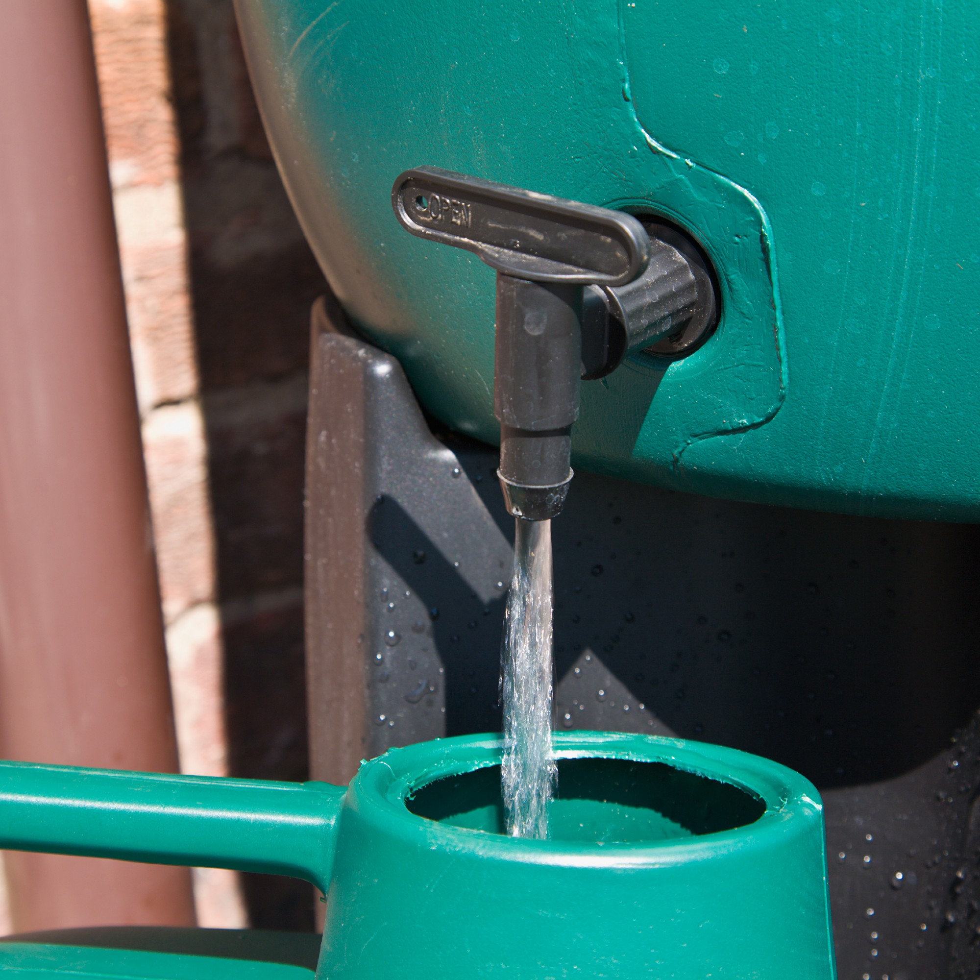 Filling up a watering can with harvested rainwater from a water butt