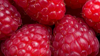 Raspberries