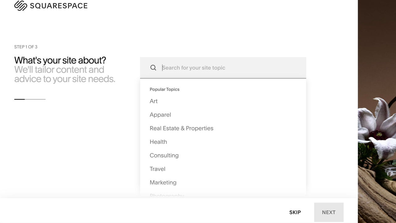 Screengrab showing setup process in Squarespace