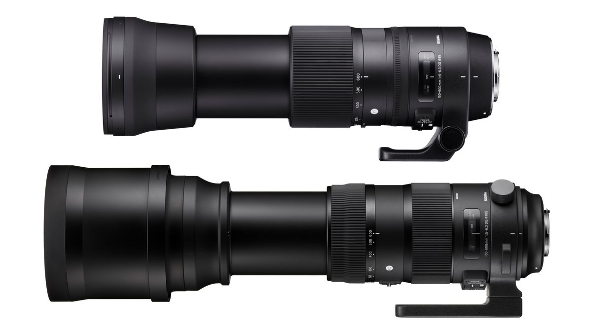 Sigma 150-600 Contemporary vs Sports: let us explain the differences