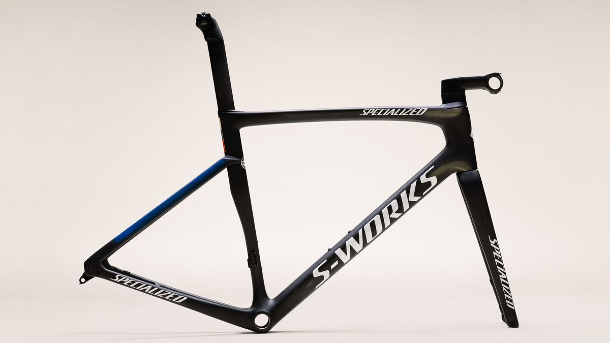Specialized Sagan Collection Disruption
