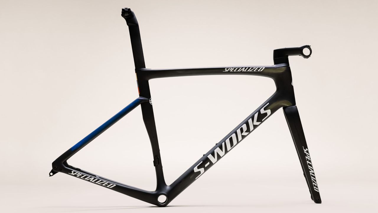 Specialized Sagan Collection Disruption