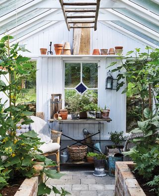 shelf above a window in a pretty shed / greenhouse