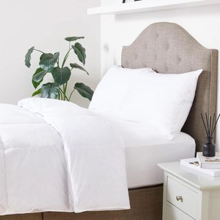 White duvet laying on a white bed in a white bedroom